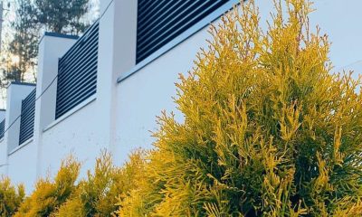 img_20210124_152209_651